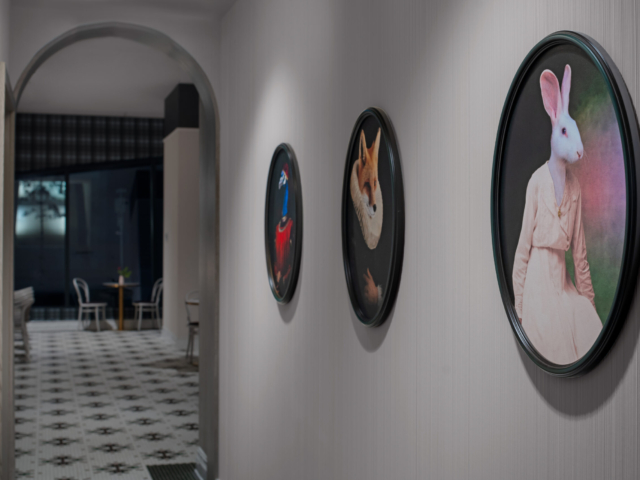 Prologue hallway with framed animal portraits